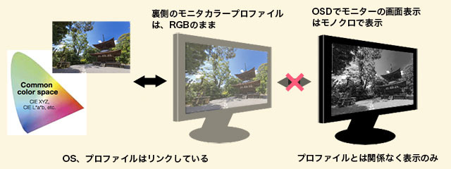 BenQとEIZOのカラーマネジメントモニター機能を徹底比較検証
