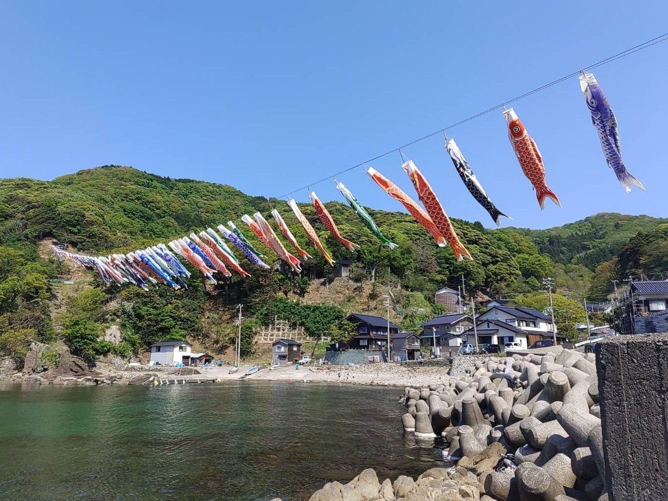 青い空に気持ち良さそうに泳いでる~_d0135908_15575669.jpg
