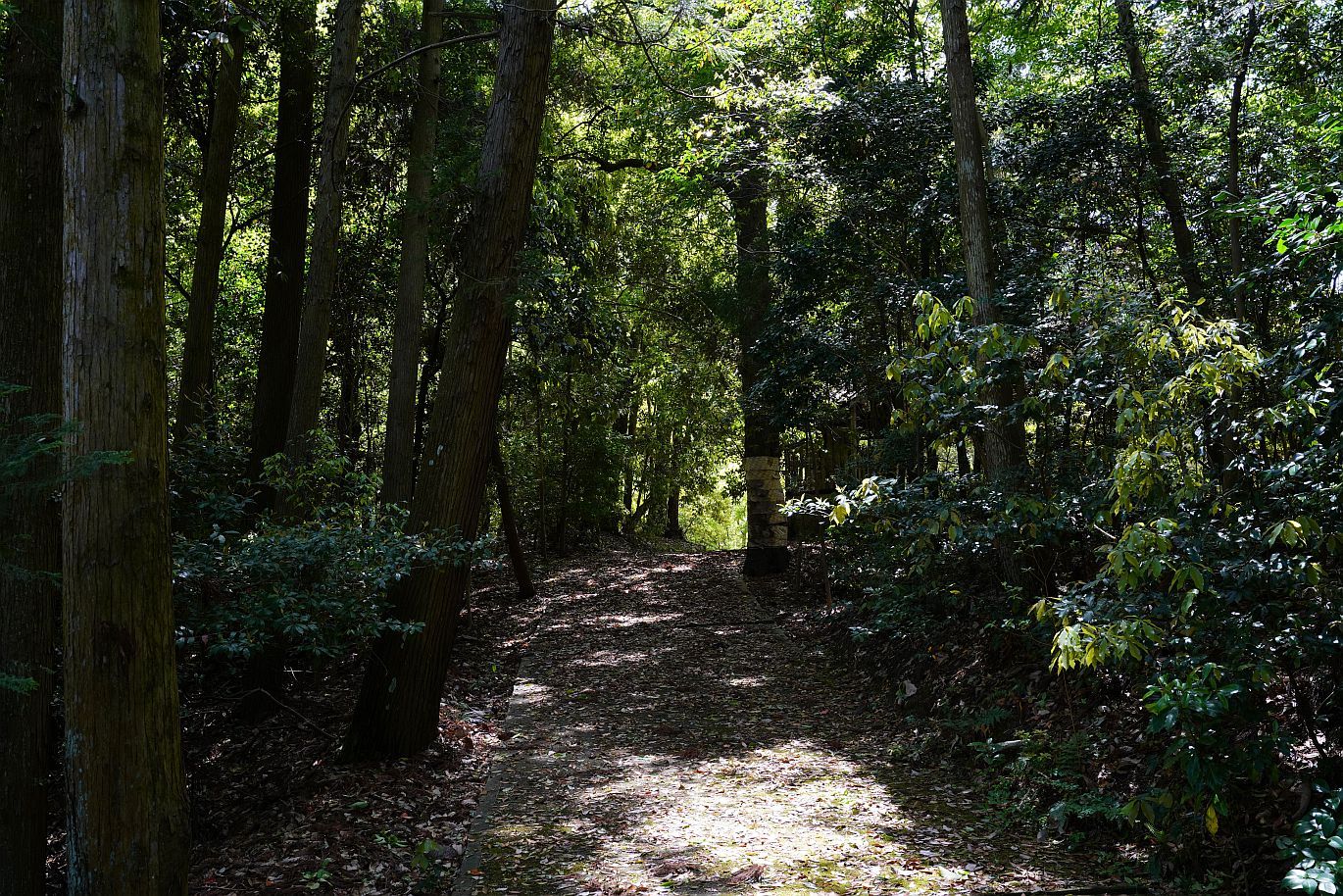 【重要文化財|八幡神社(波豆八幡神社)本殿】 行き方、見学のしかた (兵庫県 宝塚市)_b0212342_19541588.jpg