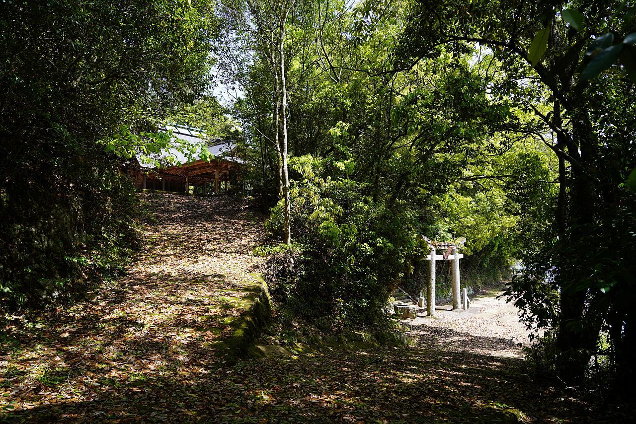 【重要文化財|八幡神社(波豆八幡神社)本殿】 行き方、見学のしかた (兵庫県 宝塚市)_b0212342_20021036.jpg
