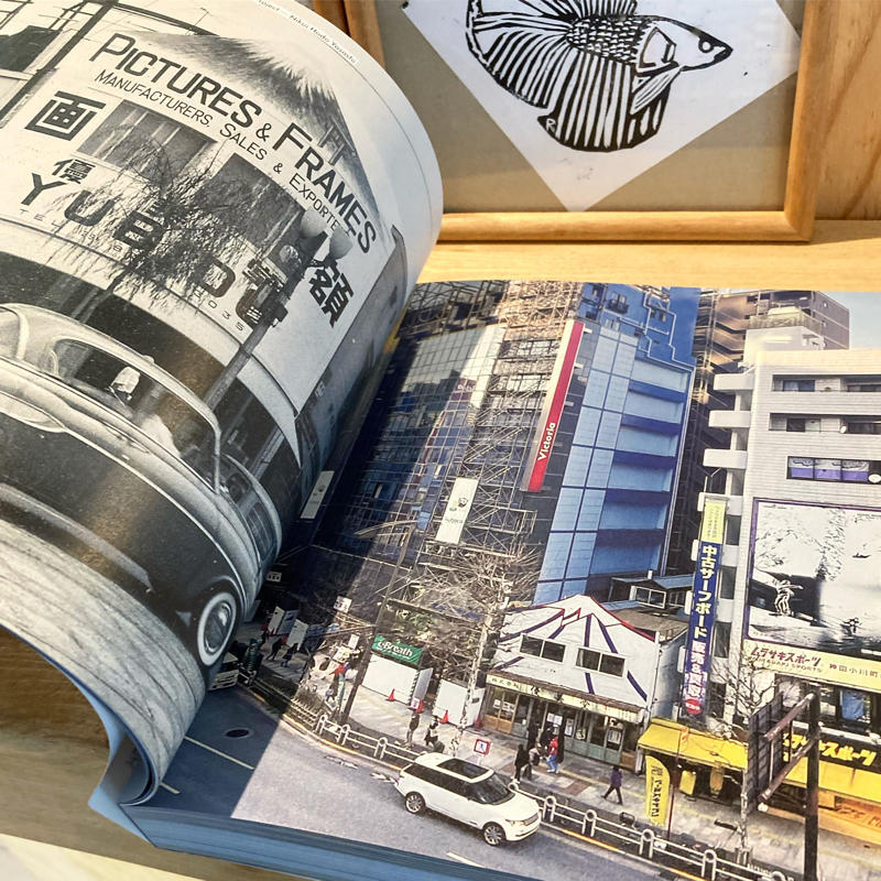 優美堂で東京ビエンナーレの記録集『見なれぬ景色へ』を購入_c0060143_16320432.jpg