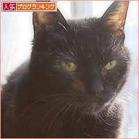 ぴょん18歳_a0389088_06405268.jpg