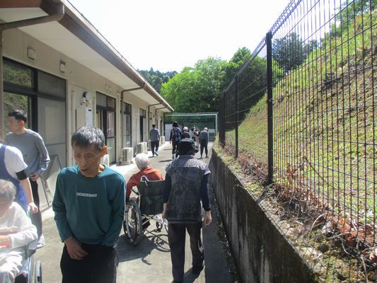 5/3　朝の散歩_a0154110_08411656.jpg