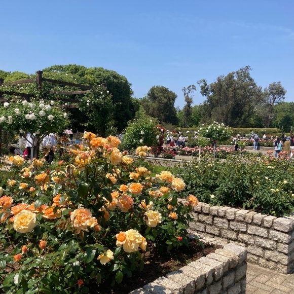 Nagai botanical garden_a0098418_21315219.jpg