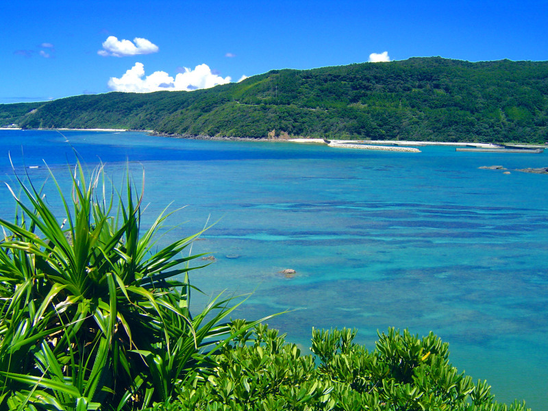 奄美市知名瀬の海_c0057821_16311392.jpg