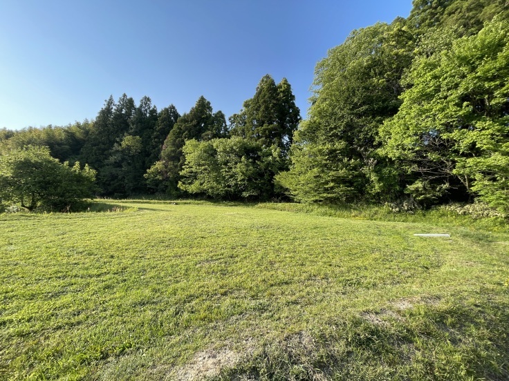 五月晴_f0076731_19413589.jpeg