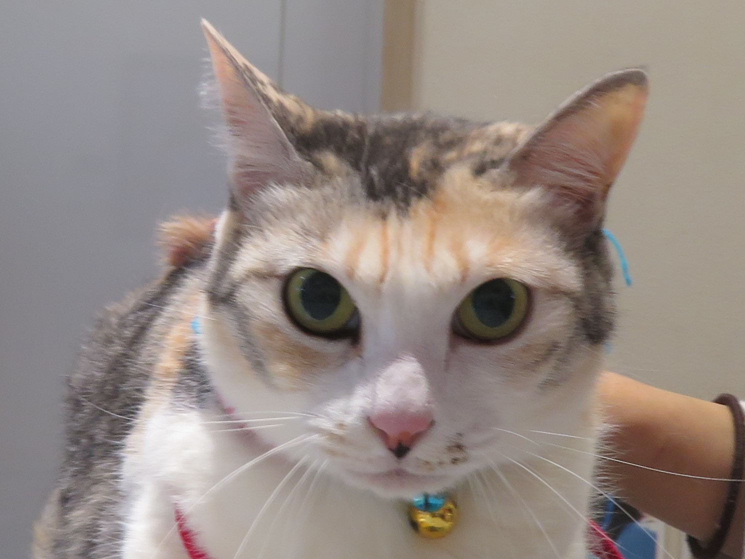 5月 4日の写真_c0174644_10110419.jpg