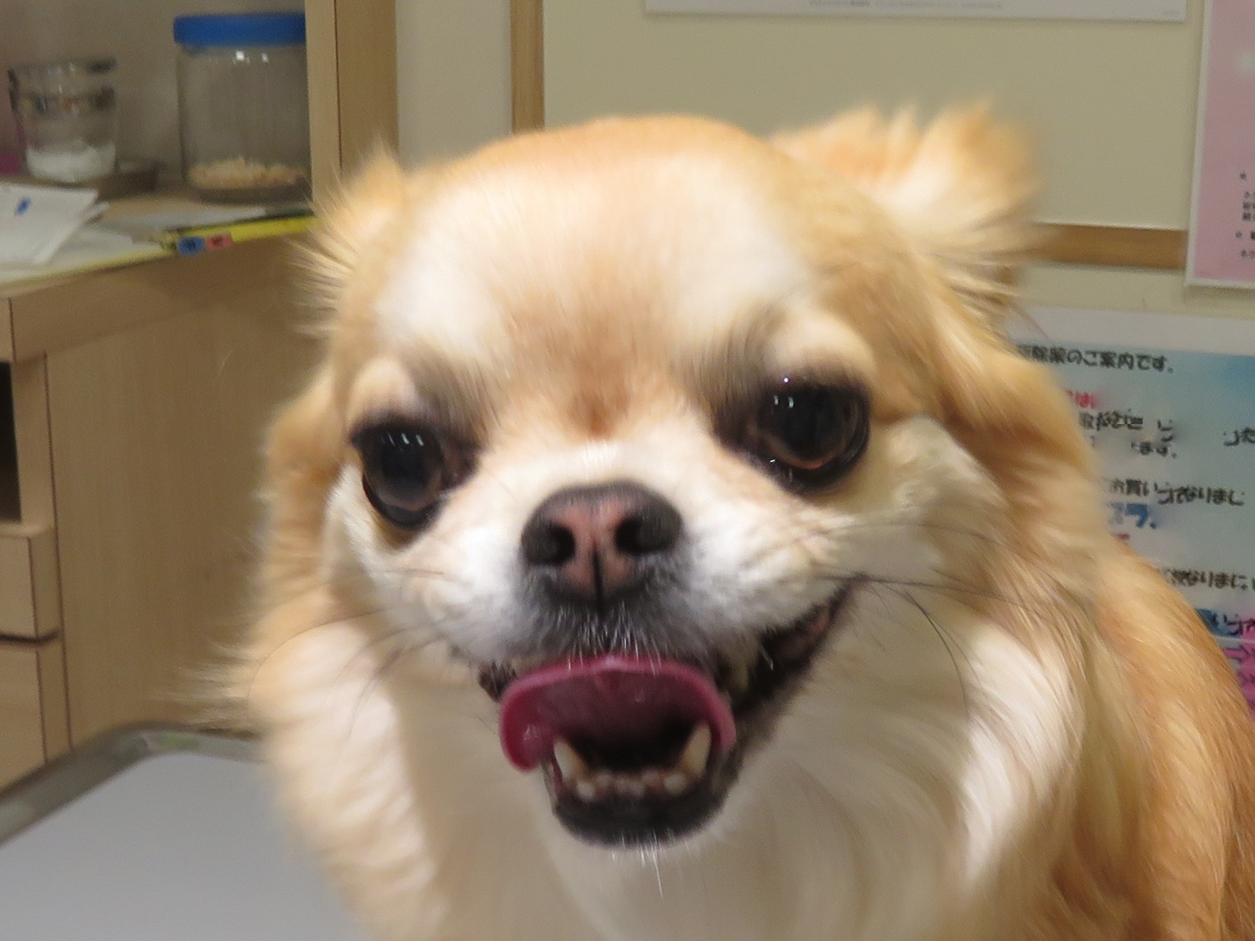 5月 4日の写真_c0174644_12063183.jpg