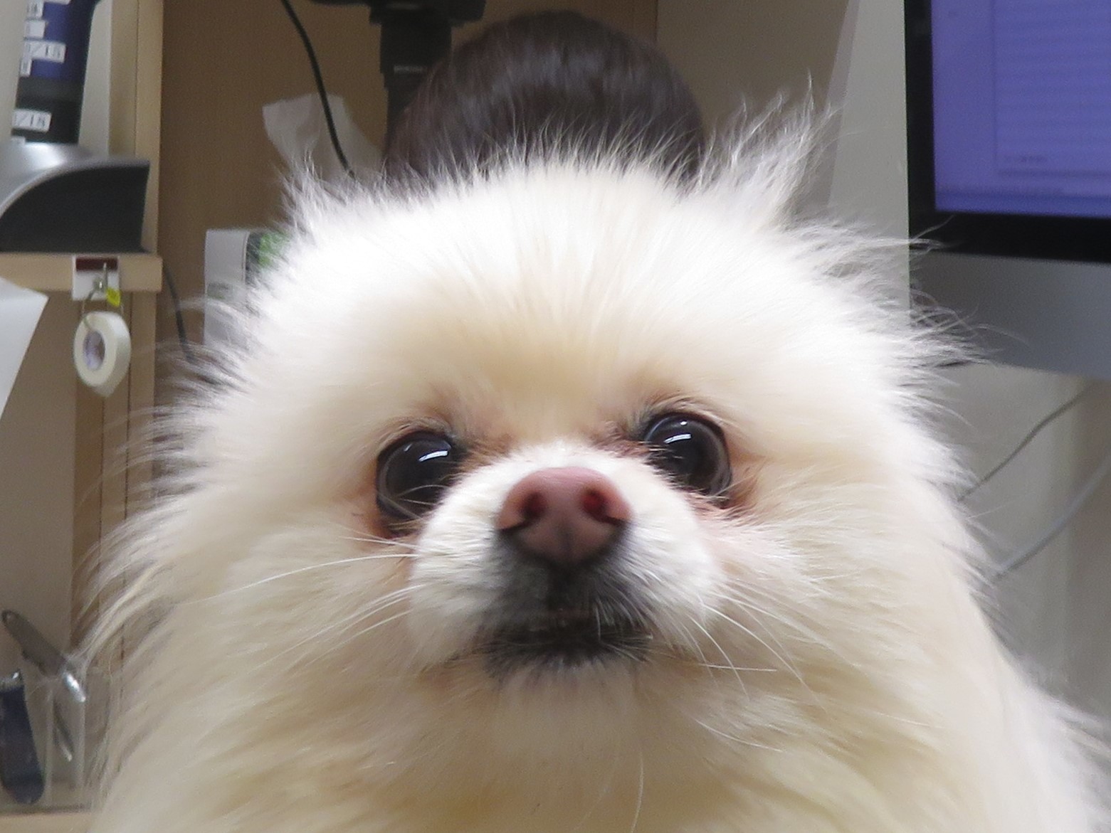 5月 4日の写真_c0174644_12063349.jpg