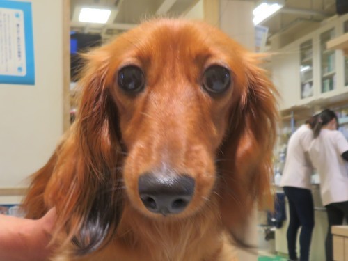 5月 4日の写真_c0174644_14132607.jpg