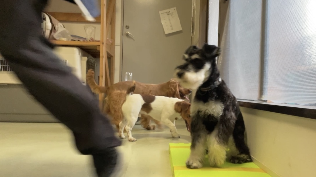 トレーニングブログ_f0357682_14381147.jpeg