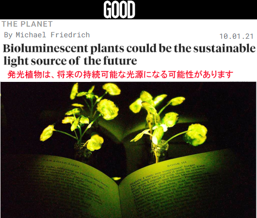 生物発光する植物で卓上ライトや街灯をつくる?！ ライト・バイオ（Light Bio）_b0007805_04293865.jpg