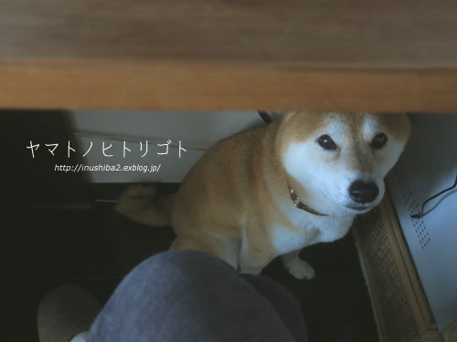 最近のホームポジション_e0394031_07540473.jpg
