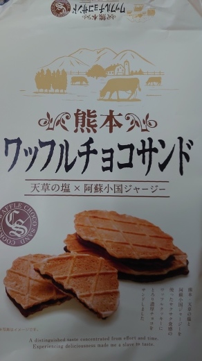 本日より罪滅ぼし?ですやん!_f0056935_14591567.jpg