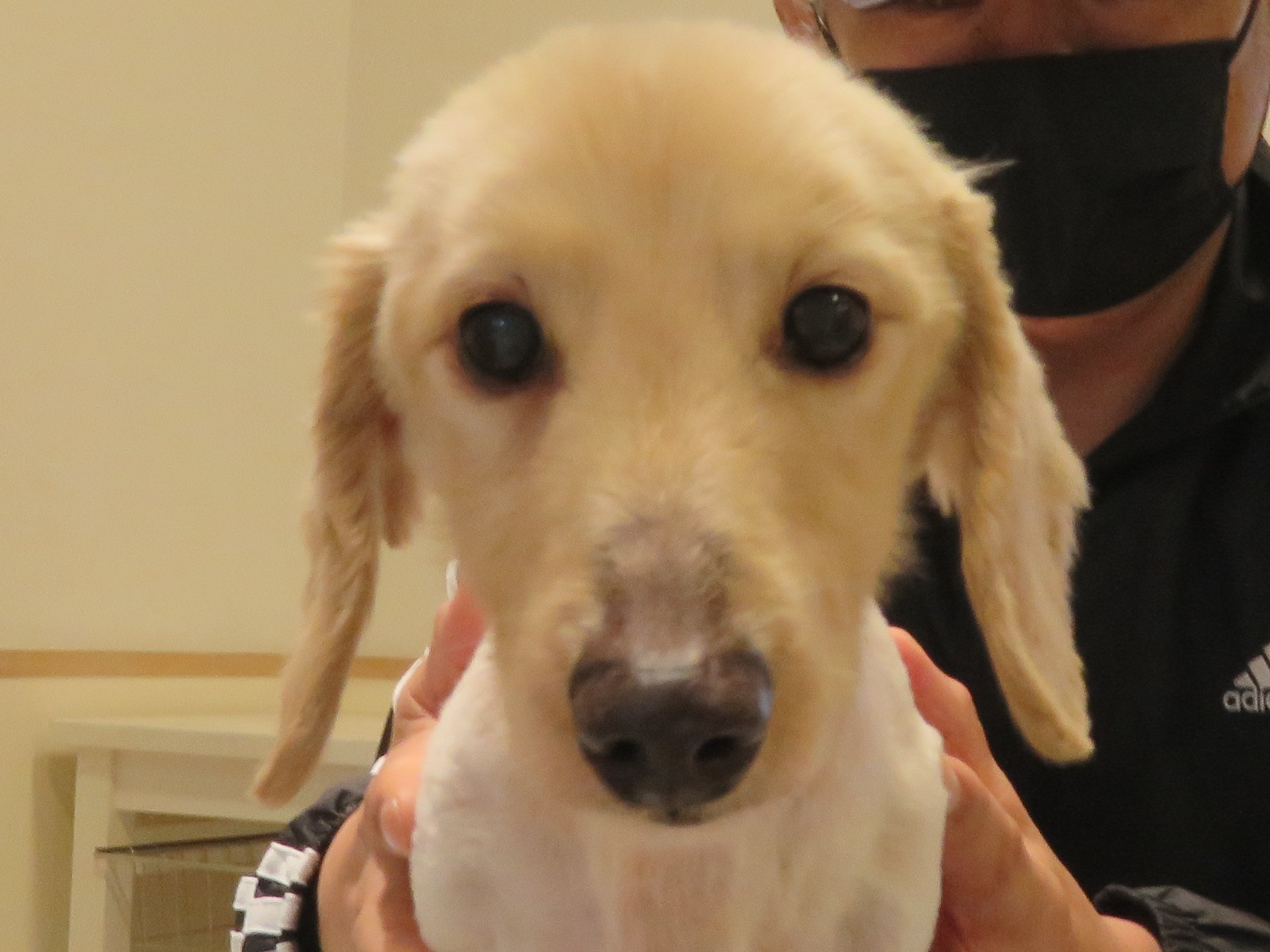 5月 5日の写真_c0174644_10332992.jpg