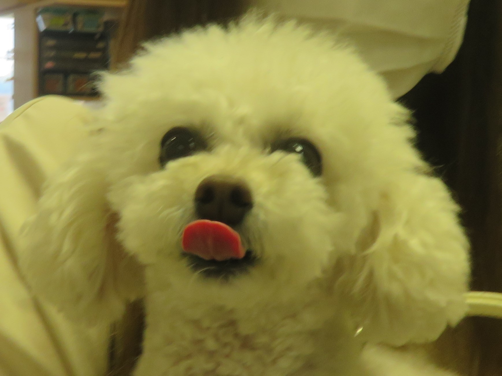 5月 5日の写真_c0174644_13241592.jpg