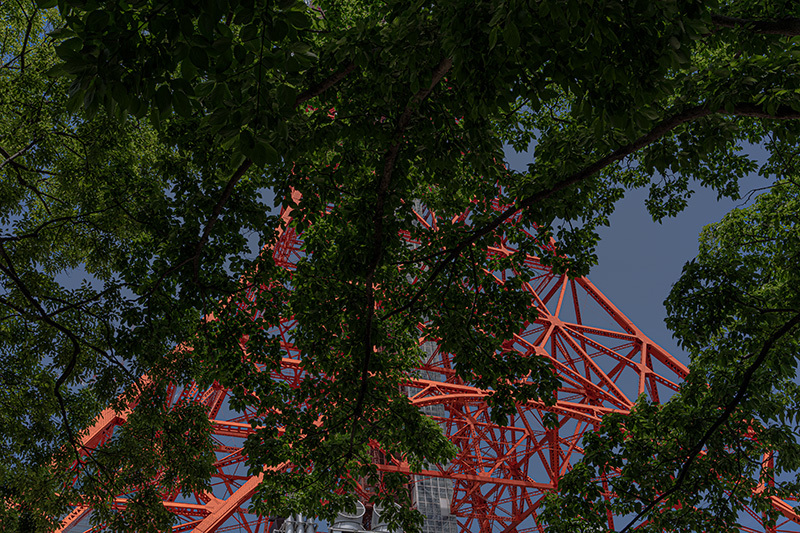 2022/05/05　東京タワー散歩_b0171364_22305290.jpg