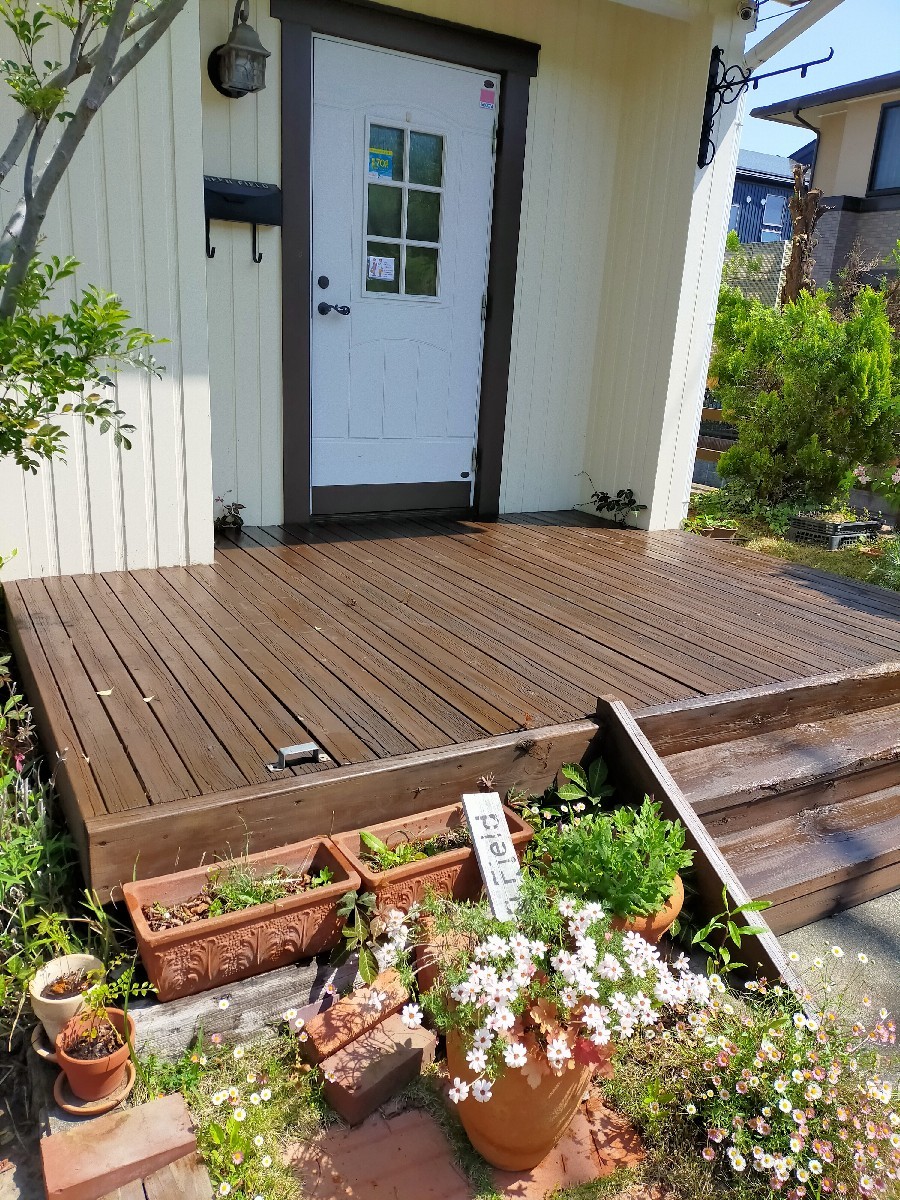 モグラとスズメバチとトカゲと・・・_d0345667_05395196.jpg