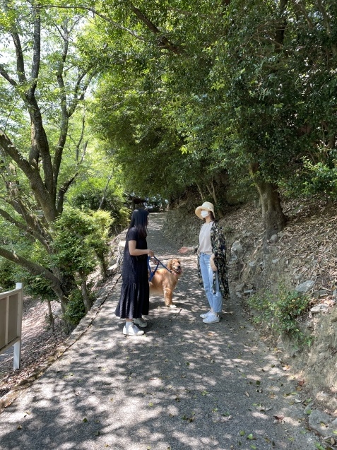 5月の爽やかな一日。_a0394574_22015381.jpeg