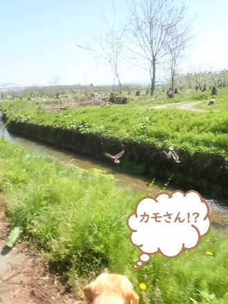 G.W期間中だけど平日。_c0182012_10402005.jpg