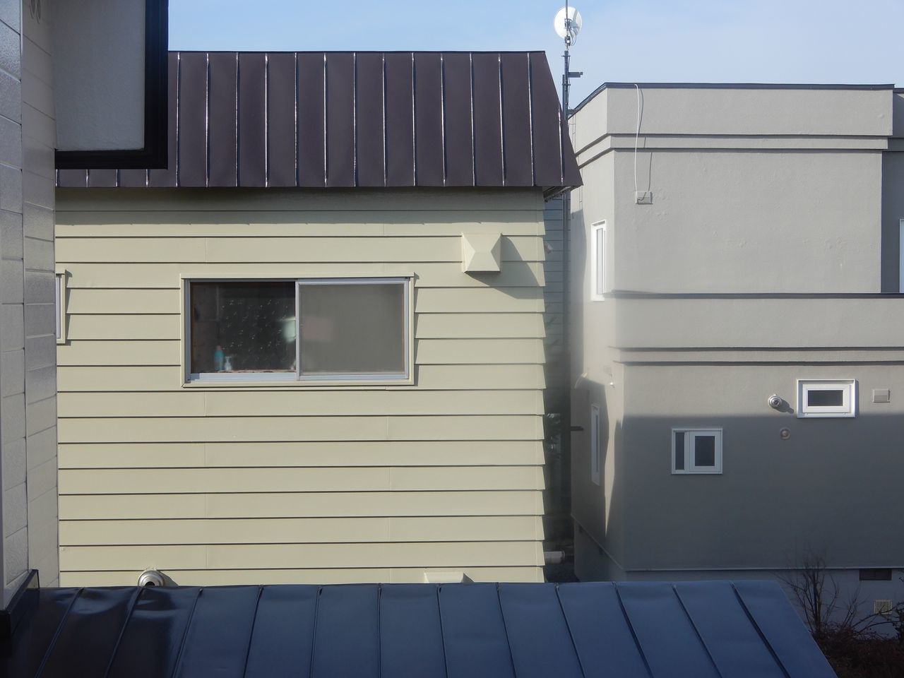 半月以上も早くやってきた夏日_c0025115_21382900.jpg