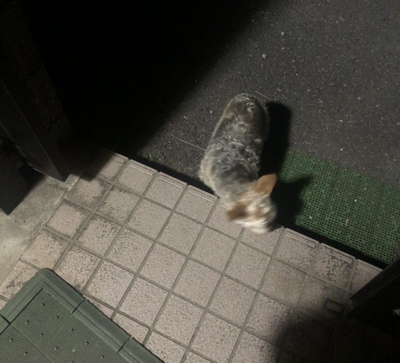 5月5日(木_d0359930_07331561.jpeg