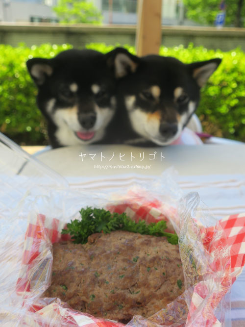 GW後半_e0394031_06051100.jpg