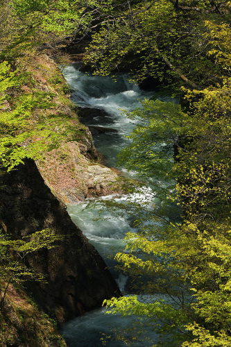 吹割の滝_b0175635_20081662.jpg