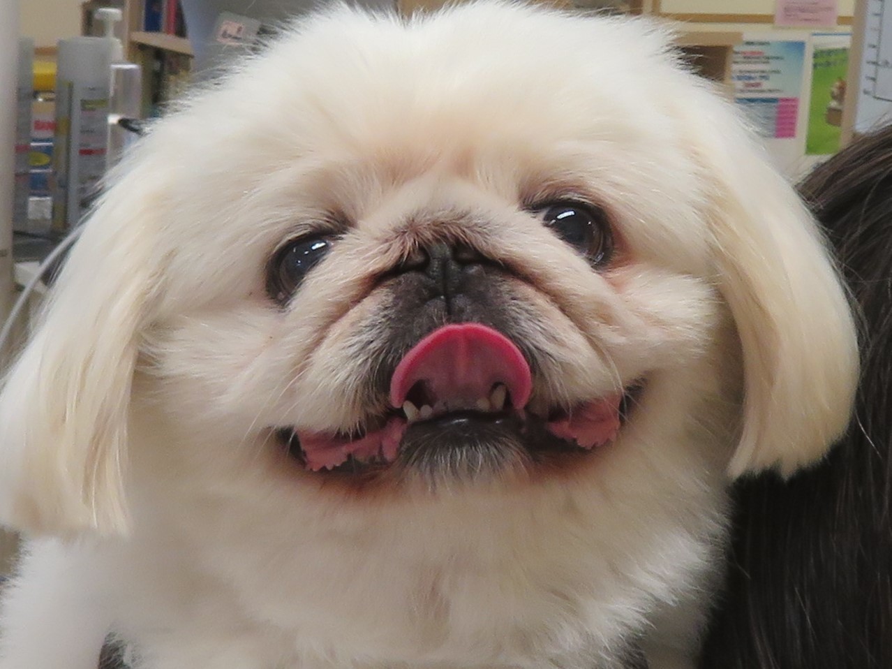 5 月 6 日の写真_c0174644_13352512.jpg