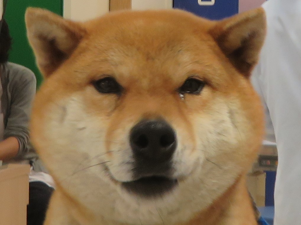 5 月 6 日の写真_c0174644_13352581.jpg
