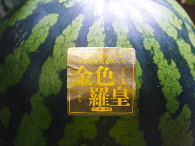 日本一のスイカの産地！熊本県のスイカは今が旬！豪華５商品のラインナップで大好評発売中！_a0254656_17202289.jpg