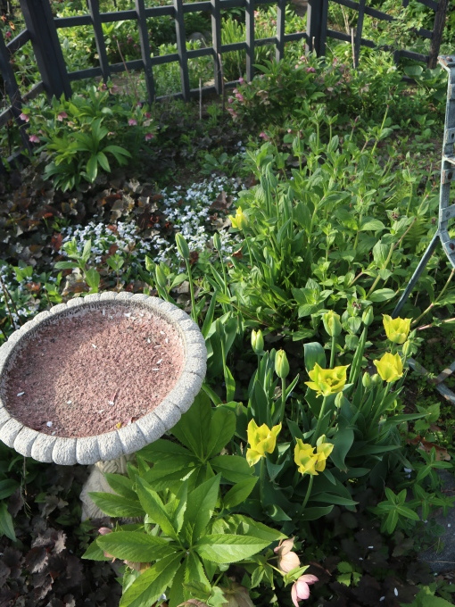 ソイルに行きたい！！その３_b0331802_23465045.jpg