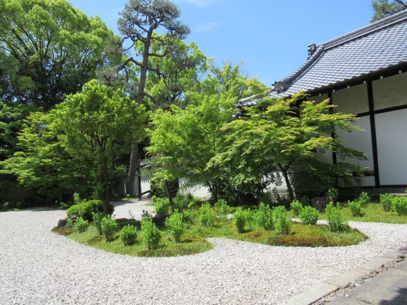 盧山寺　源氏の庭など_e0048413_18405528.jpg