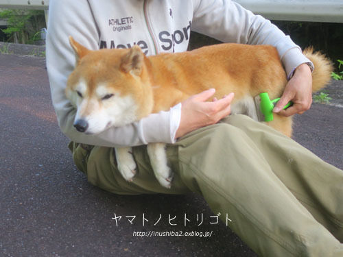 アトピー性皮膚炎・・・その後_e0394031_07293904.jpg