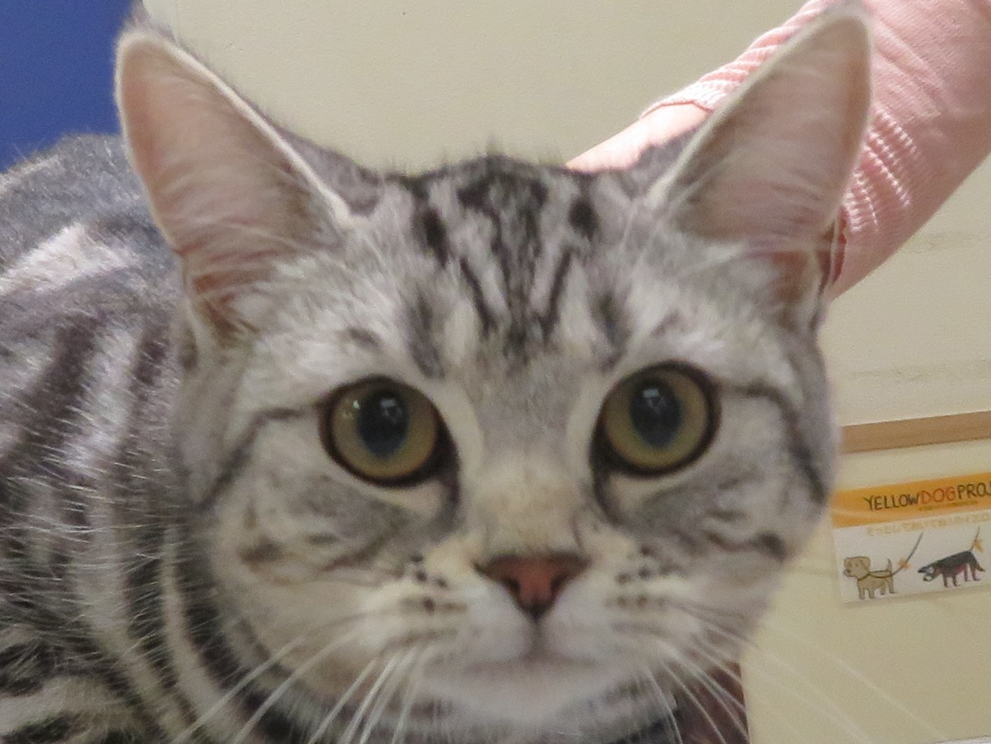 5月7日の写真_c0174644_14150079.jpg