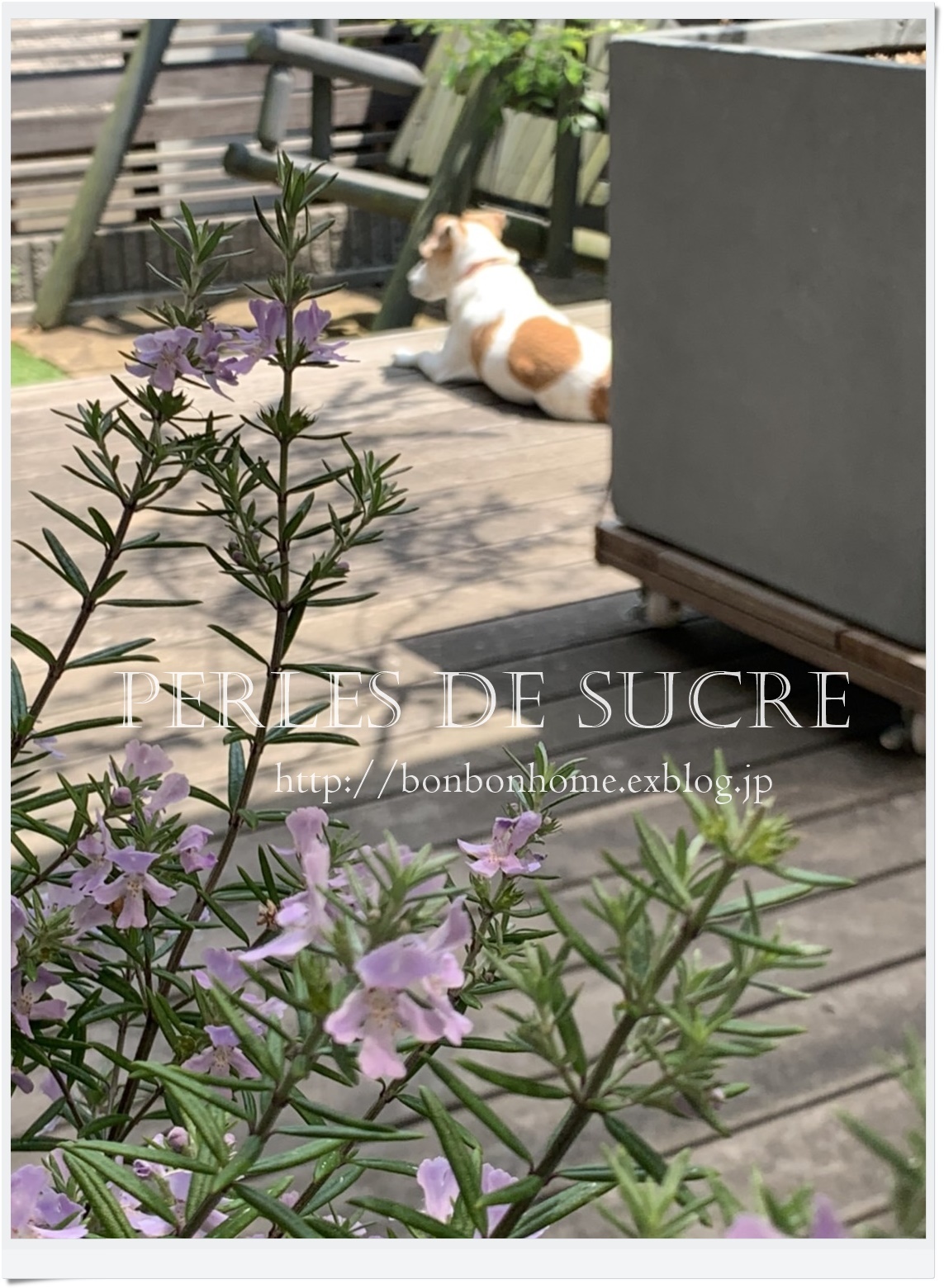 GWいろいろと・・PARIS MAG_f0199750_22160052.jpg