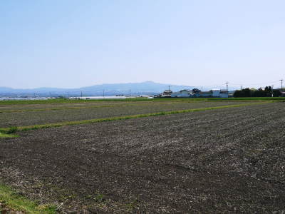 熊本の美味しいお米(七城米 長尾さんちのこだわりのお米)は定数になり次第完売!ご注文はお急ぎください_a0254656_18292327.jpg