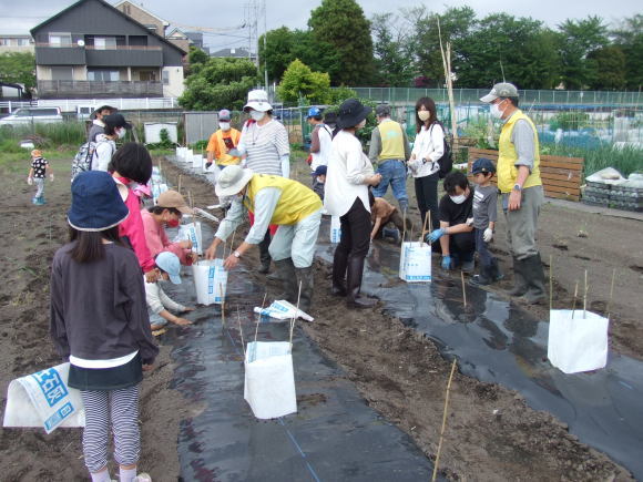 2022年5月度　菜の花体験教室_c0145581_22221705.jpg