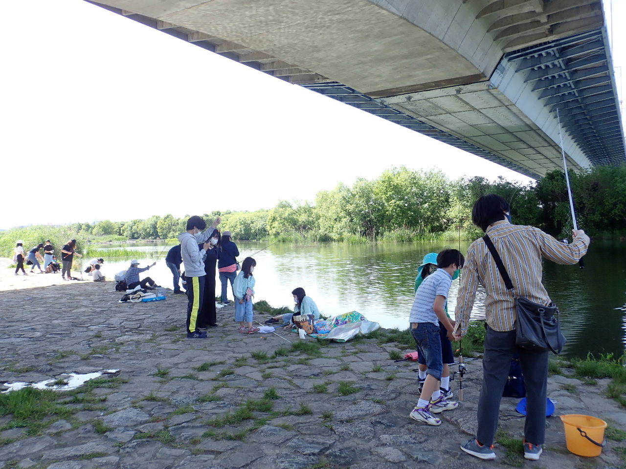 【ご報告】駆除釣大会（城北定例保全活動3）_a0263106_22123025.jpg