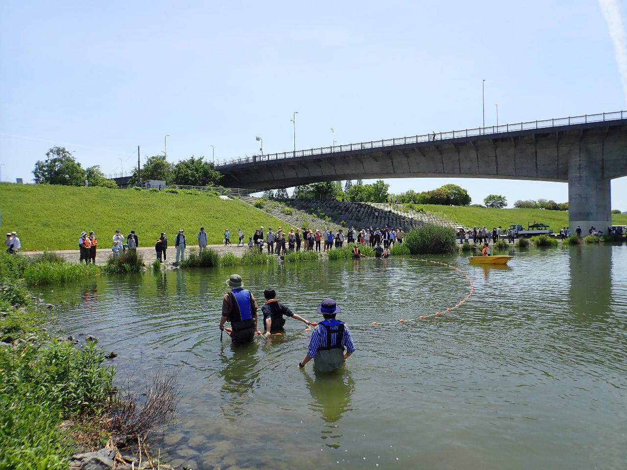 【ご報告】駆除釣大会（城北定例保全活動3）_a0263106_22133825.jpg