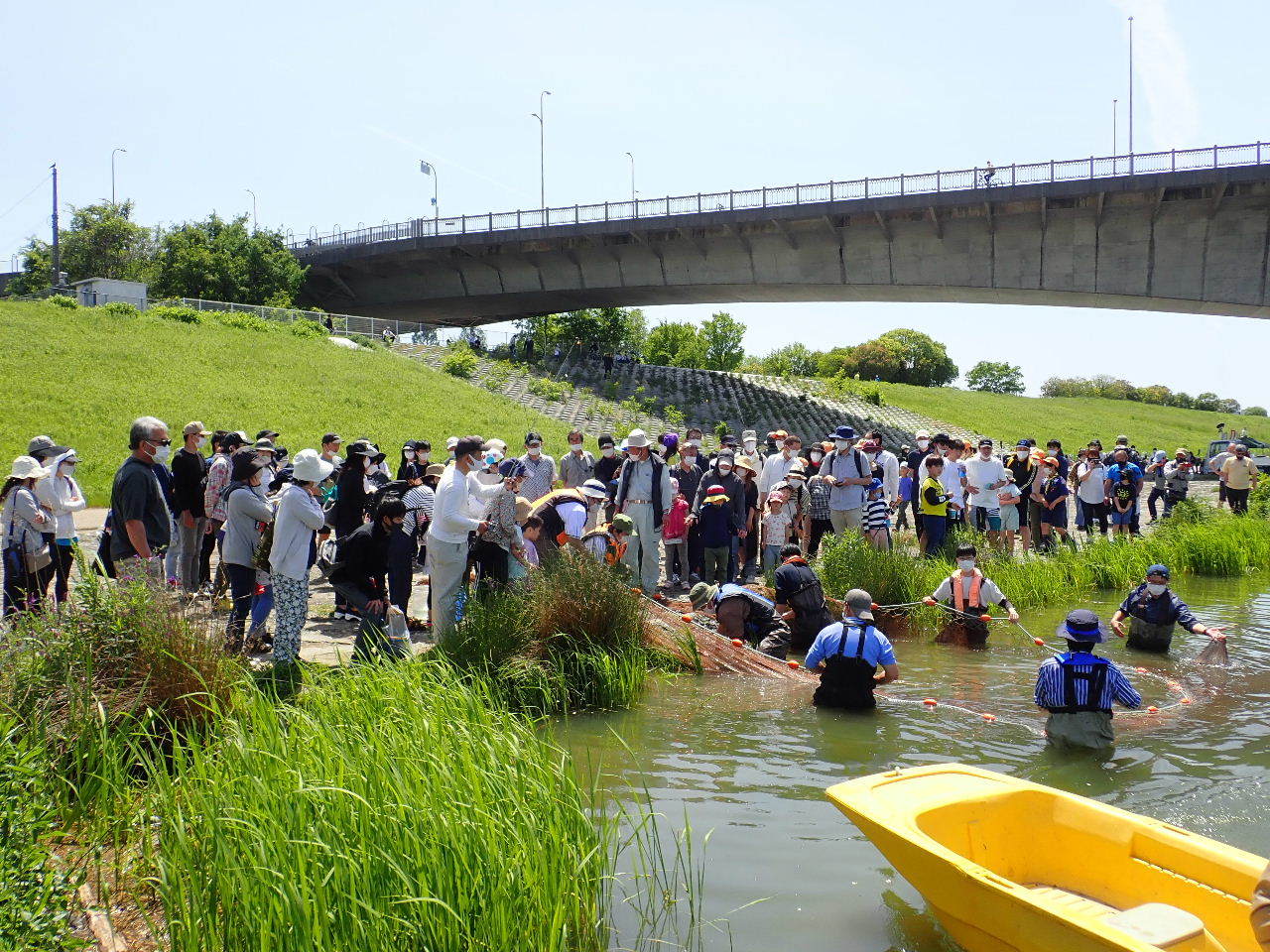 【ご報告】駆除釣大会（城北定例保全活動3）_a0263106_22135378.jpg