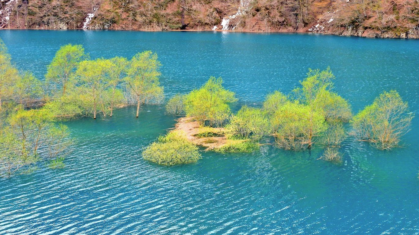 春の東北紀行（１０）・・・鎧畑ダム「秋扇湖」の水没林は将に絶景だ！♪　他に言葉がありません(;\'∀\')_a0031821_12540435.jpg