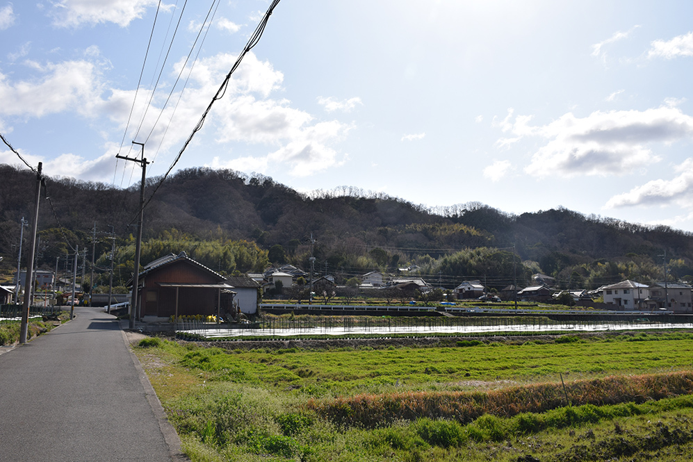 城主は島左近か松永久秀か、椿井城攻城記。＜前編＞　登山道_e0158128_15291060.jpg