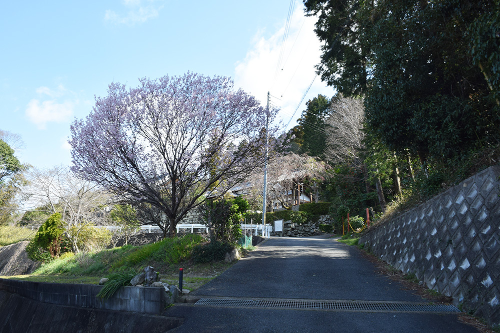 城主は島左近か松永久秀か、椿井城攻城記。＜前編＞　登山道_e0158128_15491331.jpg