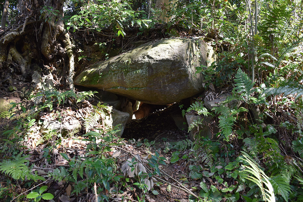 城主は島左近か松永久秀か、椿井城攻城記。<前編> 登山道_e0158128_16140982.jpg