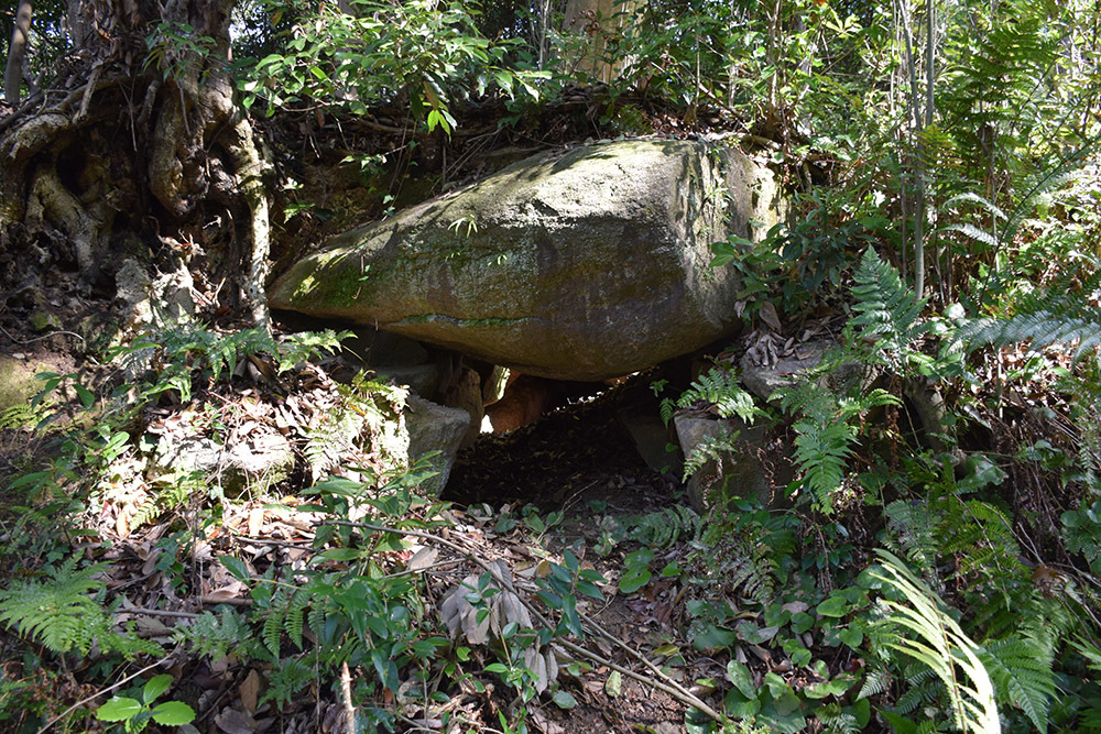 城主は島左近か松永久秀か、椿井城攻城記。＜前編＞　登山道_e0158128_16140982.jpg