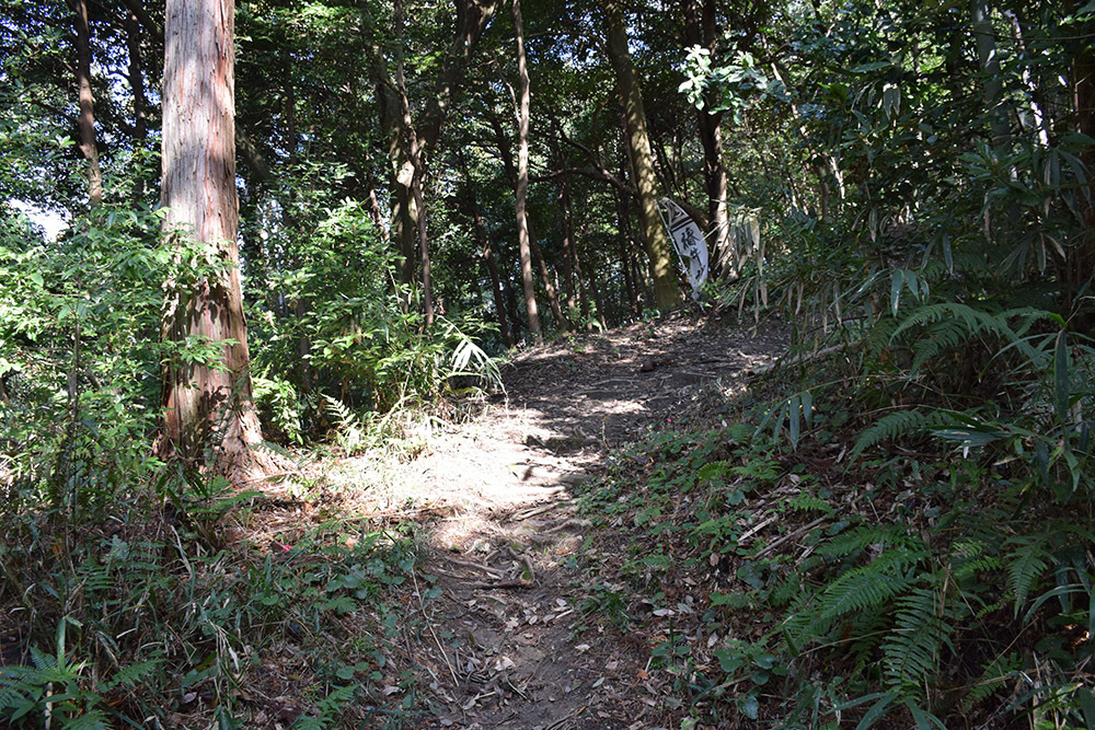 城主は島左近か松永久秀か、椿井城攻城記。＜前編＞　登山道_e0158128_16170177.jpg