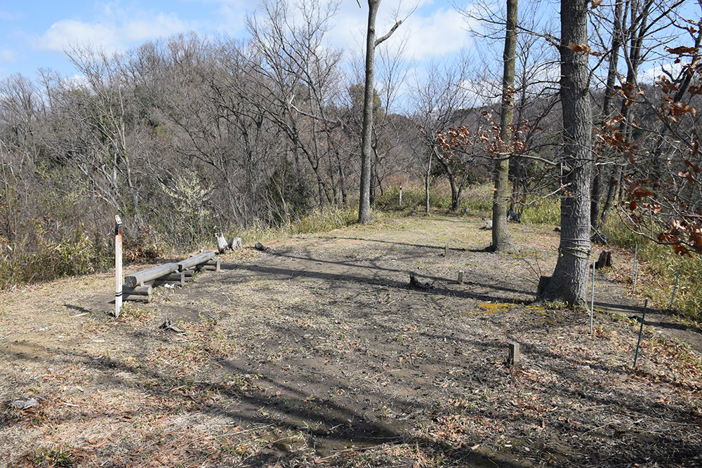 城主は島左近か松永久秀か、椿井城攻城記。<後編> 南郭群_e0158128_17302728.jpg