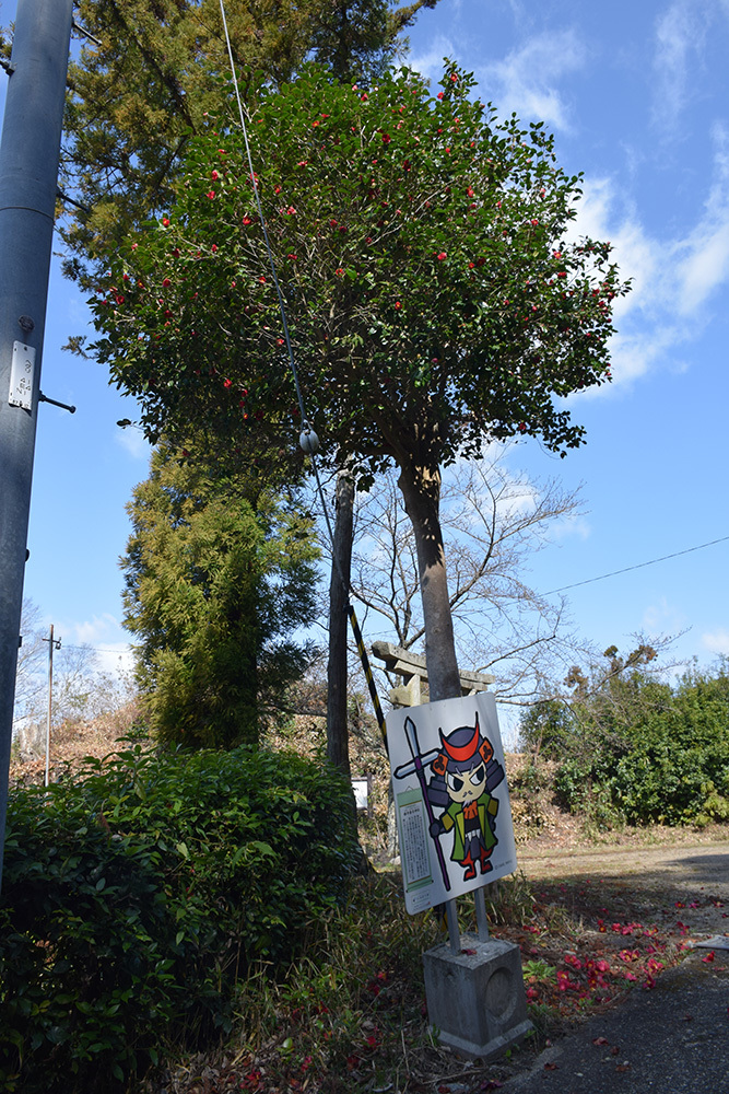 椿井城跡西麓を歩く。 その1 <平等寺春日神社と椿井春日神社>_e0158128_19074269.jpg