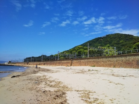 潮音寺・須磨浦海浜植物群落　てくてく歩き_c0218841_18065093.jpg